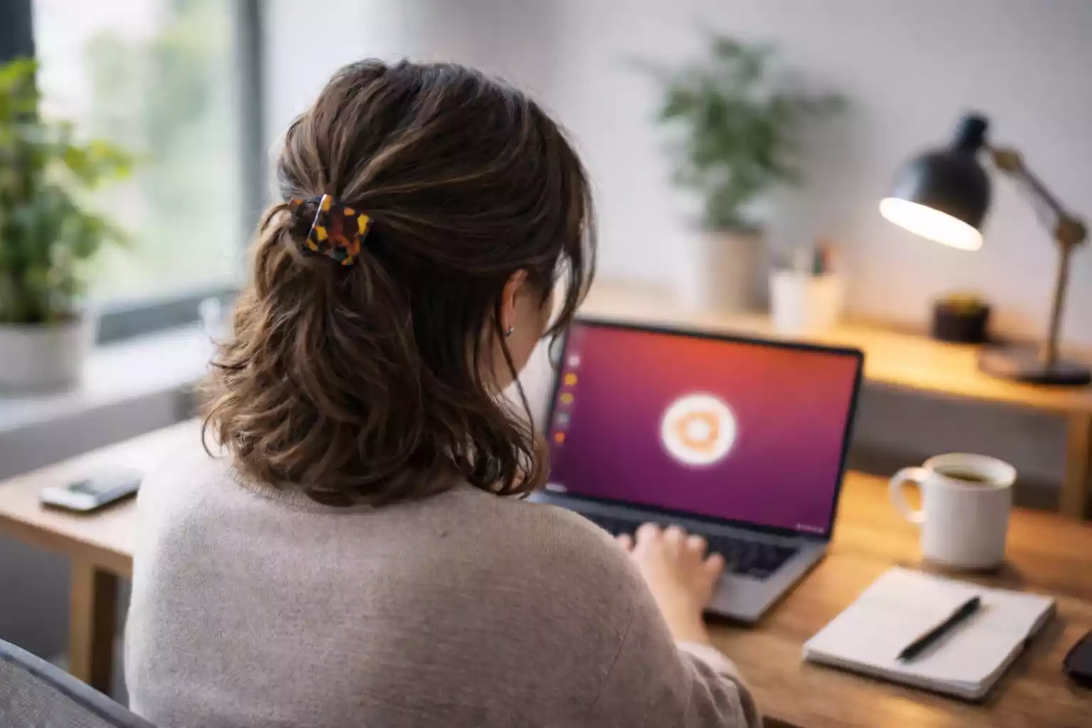 Is 2026 the Year for Linux?