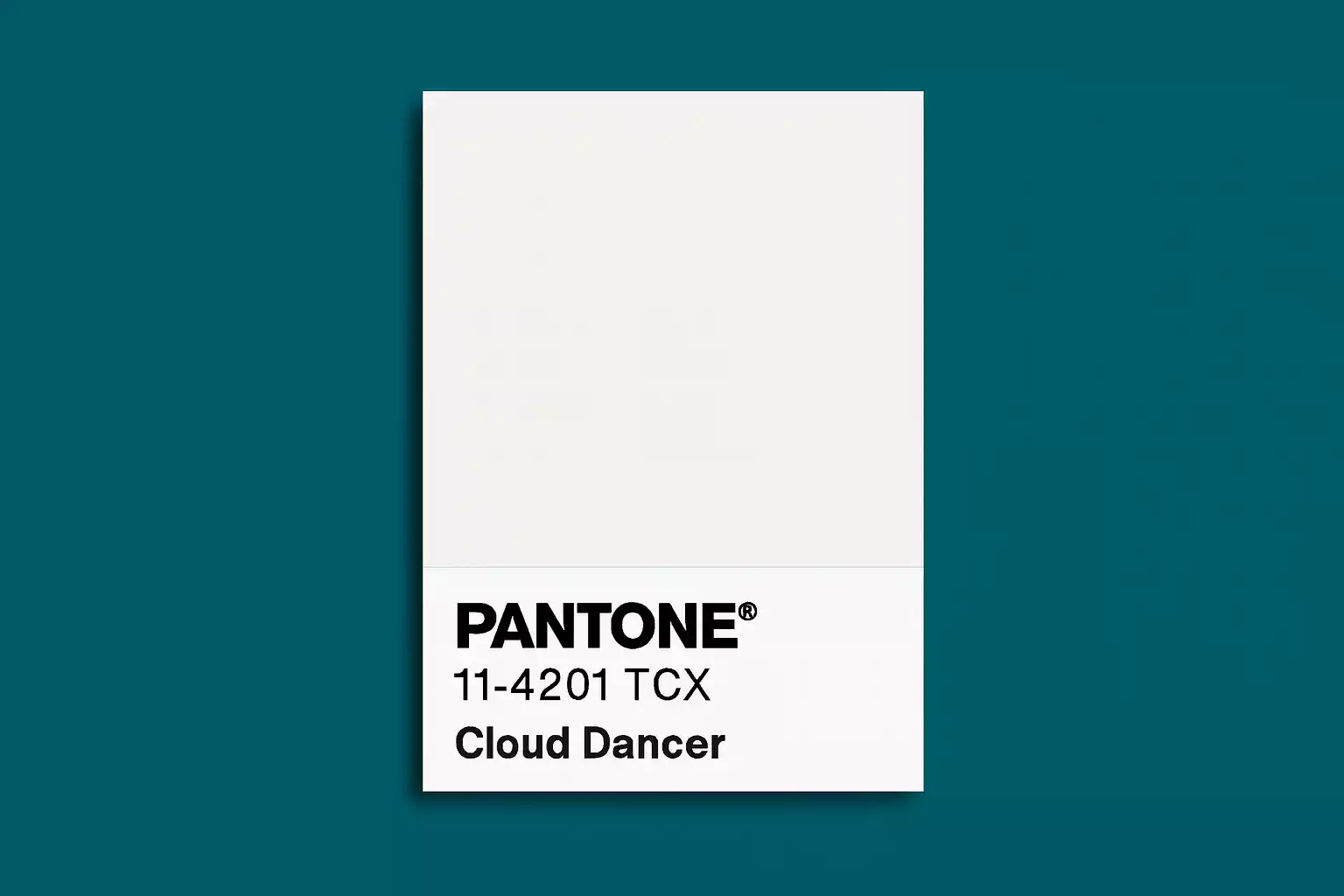 Pantone’s 2026 Color of the Year: Cloud Dancer